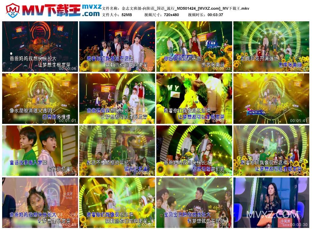 金志文班级-向阳花_国语_流行_MD501424